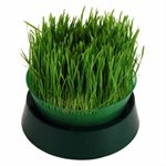 Handy Pantry Germoir superposable 3 plateaux Sprout Garden