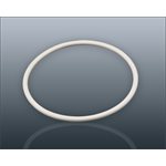 Champion 2000+ O-Ring