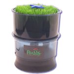Freshlife Automatic Sprouter
