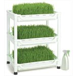 Sproutman’s Wheatgrass Grower