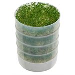 Victorio Kitchen Round Seed Sprouter
