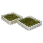 Victorio Kitchen Square Garden Sprouter
