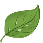 Products on Sale