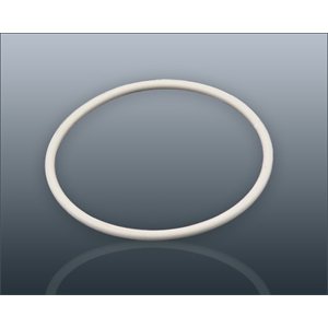 Champion 2000+ O-Ring