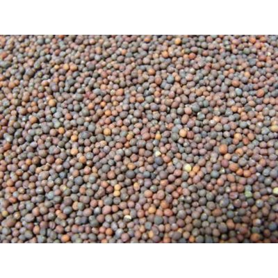 Mumm's Graines de brocoli certifiées biologiques 200gr