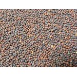 Mumm's Graines de brocoli certifiées biologiques 200gr