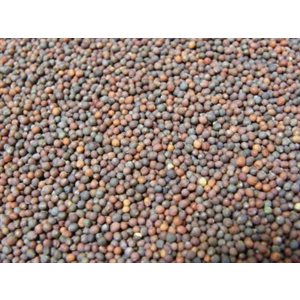 Mumm's Certified Organic Broccoli Seeds 200gr