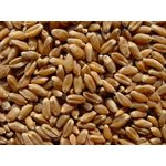 Mumm's Certified Organic Wheat Berries 1kg