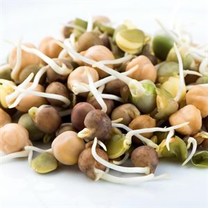 Mumm's Certified Organic Crunchy Bean Mix 275gr