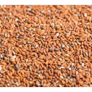 Mumm's Certified Organic Cress Seeds 250gr
