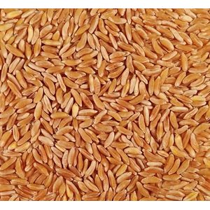 Mumm's Certified Organic Kamut Wheat 300gr