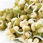 Mumm's Haricots mung certifiés biologiques 250gr