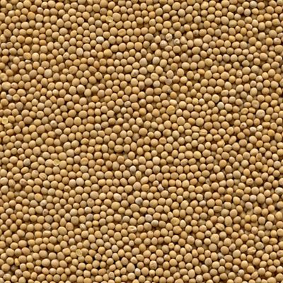 Mumm's Certified Organic Oriental Mustard Seeds 200gr