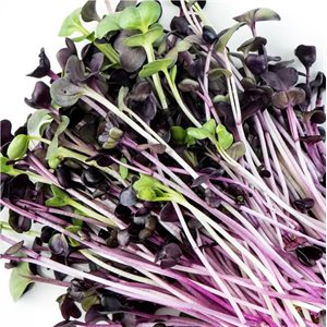 Mumm's Certified Organic Red Daikon Radish 100gr