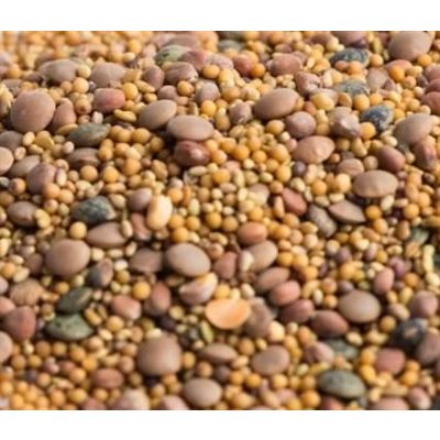 Mumm's Mélange de lentilles épicé certifié biologique 250gr