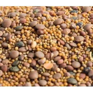 Mumm's Certified Organic Spicy Lentil Crunch 250gr