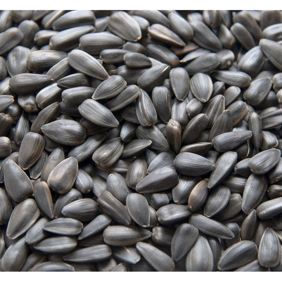 Mumm's Certified Organic Unhulled Sunflower Seeds 150gr Raw Nutrition