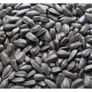 Mumm's Certified Organic Unhulled Sunflower Seeds 150gr